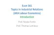 Econ 561 Topics in Industrial Relations (AKA Labour ...faculty.arts.ubc.ca/nfortin/econ561/IntroEcon561_17.pdf · Topics in Industrial Relations (AKA Labour Economics) ... wage determination