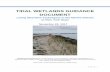 NYSDEC Tidal Wetlands Guidance Document · 1 | P a g e TIDAL WETLANDS GUIDANCE DOCUMENT Living Shoreline Techniques in the Marine District of New York State November 22, 2017 Planting