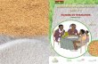 Manuel formateur qualité du riz 05 06 2103 · Amélioration de la qualité du riz : manuel du formateur 2 Sommaire Avant-propos Introducti on Lexiques des termes techniques Module
