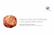 Opportunities and challenges in the global B&A market · Silvio Porto, EVP Bauxite & Alumina Metal Bulletin Bauxite and Alumina Conference, Miami, March 14-16 Opportunities and challenges