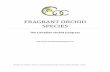 FRAGRANT ORCHID SPECIEScanadianorchidcongress.ca/Fragrant.pdf · FRAGRANT ORCHID SPECIES The Canadian Orchid Congress . ... STATUS OF FRAGRANCE ? after species fragrance assumed ?