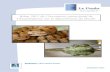 Bilan 2011 de l’inventaire participatif de l’herpétofaune ...files.biolovision.net/franche-comte.lpo.fr/userfiles/publications/... · sur le département du Doubs Bilan 2011
