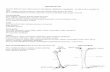 COPIER-08804-20160222124942 - West Virginia Universitysraylman/comparative/appendicular.pdf · VERTEBRAL COLUMN PELVIC GIRDLE SHOULDER GIRDLE ... Pygostyle Femur pubis Fibula ...