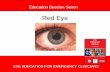 RED EYE - NSW Agency for Clinical Innovation · presentations of the red eye – To manage red eyes appropriately . ... • Inflamed, painful eye • Anaesthetic drop and fluorescein