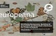 Entitifying Europeana: Building an ecosystem of …swib.org/swib16/slides/manguinhas_europeana.pdf · Europeana Linked Data Strategy . ... Building an ecosystem of networked references