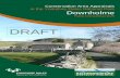 DRAFT - Yorkshire Dales€¦ · Conservation Area Appraisals in the Yorkshire Dales National Park Downholme Public Consultation Draft DRAFT