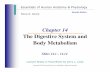 The Digestive System and Body Metabolism - … · Lecture Slides in PowerPoint by Jerry L. Cook. The Digestive System and Body ... digestive system to another • Peristalsis –