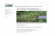 WRA Acanthospermum hispidum - USDA€¦ · Weed Risk Assessment for Acanthospermum hispidum Ver. 1 January 23, 2015 1 Introduction Plant Protection and Quarantine (PPQ) regulates