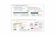 The Immune System - jocha-biology.com immune.pdf · The Immune System Develops only ... External defenses Internal defenses B-cells ... or part of a microbe elicits an immune response