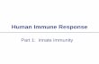Human Immune Response - Biology for Life · Human Immune Response Part 1: ... Which cell type is part of the innate immune system? A. Lymphocyte ... • “Second line defenses”