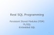 Real SQL Programming - ieu.edu.trhomes.ieu.edu.tr/cevrendilek/CE223_w10_host-psm-plsql.pdf · Real SQL Programming Persistent Stored Modules (PSM) ... 9 Invoking Procedures ... EXEC