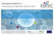 European Bank for induced pluripotent Stem Cells · European Bank for induced pluripotent Stem Cells ... iPS-derived progenitors other somatic lineages if ... European Bank for induced