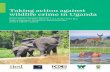 Taking action against wildlife crime in Uganda - …pubs.iied.org/pdfs/17604IIED.pdf · Taking acTion againsT wildlife crime in Uganda about the authors Henry Travers* is a postdoctoral