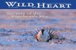 Secrets of the Sagebrush Sea - WildEarth Guardians · beautiful greater sage grouse. ... The best solution is for environmentalists to work with ... SeCretS of tHe SagebruSH Sea T