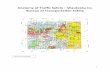 Anatomy of Traffic Safety Waukesha Co. Bureau of ...transportal.cee.wisc.edu/partners/community-maps/tsc_resources/CM... · 2 Characteristics of the County and the Road Network Waukesha