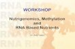 WORKSHOP - Dr Amy Yaskodramyyasko.com/.../06/acam-nov-2005-workshop-too.pdf · WORKSHOP Nutrigenomics, Methylation and RNA Based Nutrients Dr. Amy Yasko. gene name amino acid change