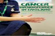 Cancer Workforce in England 2017 report - macmillan… · 4 Cancer workforce in England Executive Summary What we have done? Macmillan commissioned a census in order to better understand