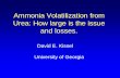 Ammonia Volatilization from Urea: How large is the …nue.okstate.edu/Ammonia_Loss/Kissel.pdf · Ammonia Volatilization from Urea: How large is the issue and losses. David E. Kissel