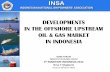 DEVELOPMENTS IN THE OFFSHORE UPSTREAM OIL & GAS MARKET …old.mareforum.com/JAKARTA2012/NOVA_MUGIJANTO.pdf · IN THE OFFSHORE UPSTREAM OIL & GAS MARKET IN INDONESIA . ... FROM SHALLOW