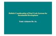 Holistic Consideration of Fuel Cycle Systems for ... · Holistic Consideration of Fuel Cycle Systems for Sustainable Development Yumi Akimoto ... backend cycle as necessary evil ...