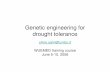 Genetic engineering for drought tolerance - unibo.it. Salvi - Genetic engineering... · Genetic engineering for drought tolerance silvio.salvi@unibo.it WUEMED training course June