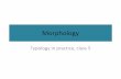 Morphology - UZH - Institut für Vergleichende ...· Isolating – Agglutinating – Fusional –