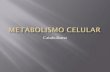 Catabolismo - media0.webgarden.esmedia0.webgarden.es/files/media0:4d4044eb33bc1.pdf... · catabolismo: - Glucólisis ... Vemos que por cada glucosa en este paso se reducen 2 NAD+