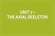 Unit 7 – The Axial Skeleton · The Axial Skeleton •Forms the longitudinal portion of the body •Divided into 3 parts: 1. Skull 2. Vertebral Column 3. Bony Thorax