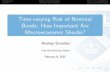 Time-varying Risk of Nominal Bonds: How Important …ae2354/sbc_slides.pdf · Introduction Macroeconomic Dynamics Asset Pricing Implications Time-varying Risk of Nominal Bonds: How