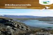 Molesworth Station, South Marlborough brochure - doc.govt.nz · (type Molesworth in ... Molesworth Care Code 34 Contacts 36. 1 The land ... St Arnaud Road was built in the 1950s to