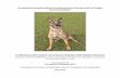 Proposed Responsible Breeding and Ownership of … · Proposed Responsible Breeding and Ownership of Dogs (Scotland) Bill A proposal for a Bill to improve the health and wellbeing