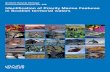 SNH Commissioned Report 388: Identification of Priority ... · Identification of Priority Marine Features in Scottish territorial waters Commissioned Report No. 388 (iBids and Project