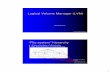 Logical Volume Manager (LVM) - Santa Monica Collegehomepage.smc.edu/morgan_david/linux/a13-lvm.pdf · 1 © David Morgan 2005-17 Logical Volume Manager (LVM) David Morgan © David