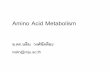 Amino Acid Metabolism - biotech.mju.ac.th Metabolism-amino... · alanine ที่เกิดขึ้นเปลี่ยนแปลงโดยกระบวนกำร metabolism