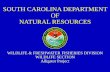 SOUTH CAROLINA DEPARTMENT OF NATURAL RESOURCES - dnr.sc.gov · south carolina department of natural resources wildlife & freshwater fisheries division wildlife section alligator project
