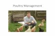Poultry Management - Home | Bertrand Farmbertrandfarm.org/wp-content/uploads/PoultryModule.pdf · Poultry Management . Learning Objectives •Understand the role of poultry in a farm