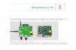 Raspberry Pi 1 - Humble Bundle · Figure 1-1. Raspberry Pi peripheral connections Unless you buy your Raspberry Pi as part of a kit, ... play can cost more than a couple of Raspberry