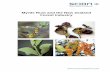 Myrtle Rust and the New Zealand Forest Industry - …nzppi.co.nz/documents/pests/mytle-rust-scion-foa-forestry.pdf · SUMMARY Introduction: This report examines the biosecurity implications