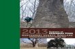 Dedication to Joe Rice - Montgomery County Maryland€¦ · 2 • 2013 Register of Champion Trees Dedication to Joe Rice With deep appreciation, the Montgomery County Forestry Board