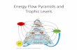Energy Flow Pyramids and Trophic Levels - …connect.issaquah.wednet.edu/cfs-file/__key/telligent-evolution... · other trophic levels. •As a rule each trophic level receives only