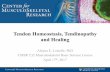 Tendon Homeostasis, Tendinopathy and Healing · Tendon Homeostasis, Tendinopathy and Healing Alayna E. Loiselle, PhD CMSR T32 Musculoskeletal Basic Science Course April 17th, 2017