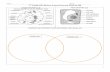 7th Grade SOL Review Packet - Loudoun County .2016-11-27 · 7th Grade SOL Review Packet ... Archaebacteria