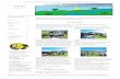 Swinton Village Action Group - Microsoftbtckstorage.blob.core.windows.net/site4776/july_2014.pdf · No Later than 15th September 2014 . Email us At. swinton.newsletter@gmail.com ...