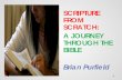 SCRIPTURE FROM SCRATCH: A JOURNEY …rcdow.org.uk/att/files/faith/aff/bible school 2014/introduction.pdf · SCRATCH: A JOURNEY THROUGH THE BIBLE . Brian Purfield . INTRODUCTION “Do