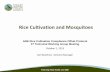Rice Cultivation and Mosquitoes · Rice Cultivation and Mosquitoes ARB Rice Cultivation Compliance Offset ... to protect public health and quality of life in Placer County ... Mosquito