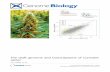 The draft genome and transcriptome of Cannabis sativa · 10-12-2011 · The draft genome and transcriptome of Cannabis sativa van Bakel et al. van Bakel et al. Genome Biology 2011,