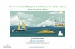 The New Sustainability Vision: Setting Sail to a …corostrandberg.com/.../2017/01/the-new-sustainability-vision-2017.pdf · The New Sustainability Vision: Setting Sail to a Better