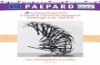 PAE PARDpaepard.org/osiris/files/fichier_ressource_Rapport_Brokerageen.pdf · PAE PARD François Stepman ... Brussels, BRASS, 03/04-17/05/2015). Michele Mathison is a sculptor and