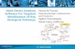Multi-Omics Analysis Software For Targeted Marketing ... · Flow . Ideker, T., Dutkowski, J. and ... signaling pathways from publicly ... • Pathway-directed Analysis for targeted