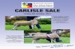 CARLISLE SALE - New Bluefaced Leicesterblueleicester.co.uk/sales/carlisle2017.pdf · CARLISLE SALE Friday 6th October 2017 “The Future’s Bright, the Future’s Blue 752/J22 Carlisle